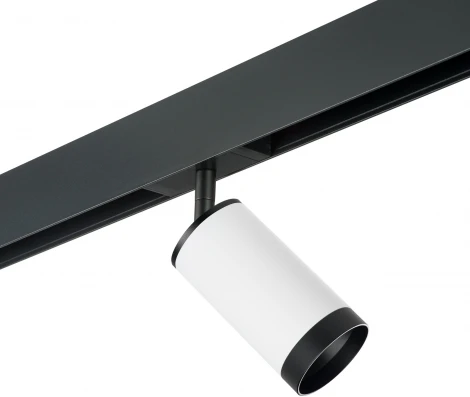 Трековый светильник однофазный 220V Lightstar Rullo PRO4363437 (круглые)