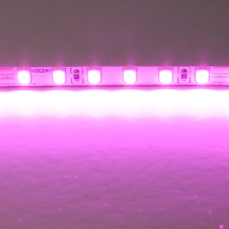 Светодиодная лента цветного свечения 24V, розовый Lightstar 420512