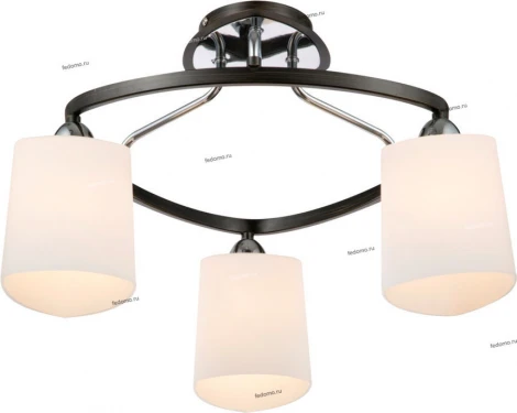Потолочная люстра Maytoni Eurosize 6 TOC006-03-N