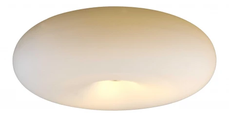Потолочный светильник Lampex Opal 172/P48