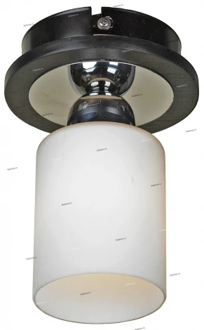 Потолочный светильник Lussole Caprile LSF-6107-01