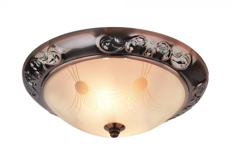 Потолочный светильник Arte Lamp Alta A3014PL-2AB