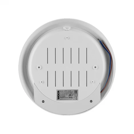 Настенно-потолочный светильник светодиодный 15Вт 6500K IP40 Wolta DBO01-15-6.5K