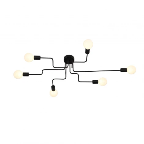 Потолочная люстра ST Luce Ano SL419.442.06