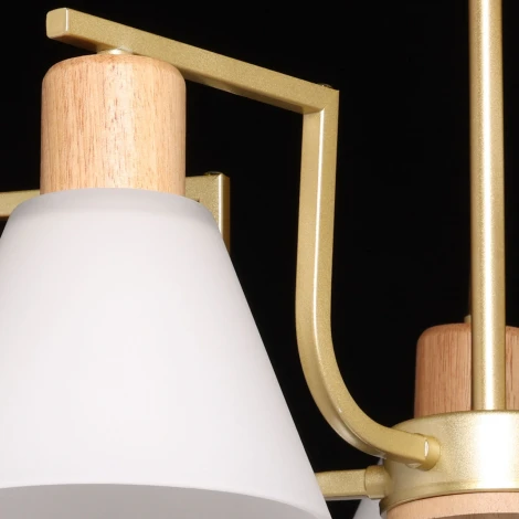 Потолочная люстра на штанге De City Дэла 635016505 (220V)