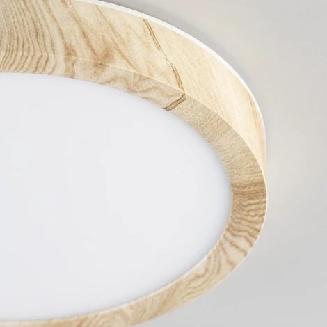 Настенно-потолочный светильник Citilux Бейсик CL738122N (регулировка яркости, LED, 220V, круглые, IP40)