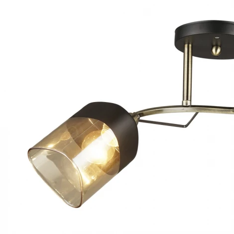 Потолочная люстра Wedo Light Laives 66248.01.37.02