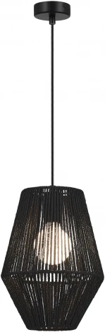 Подвесной светильник Evoluce Ettan SLE6025-413-01 черный/черный E27 1*40W (220V, на проводе, круглые)