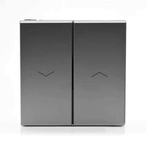 Выключатель жалюзи двухклавишный (сталь) Systeme Electric GAL000919S