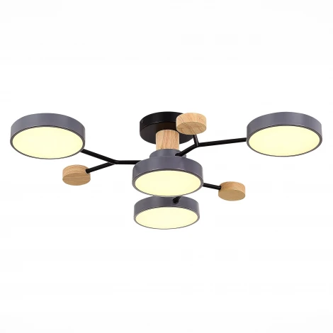 Потолочная люстра на штанге Evoluce Faema SLE6006-702-04