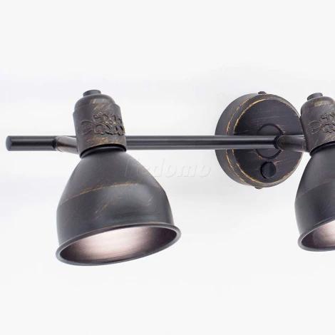 Спот на штанге Citilux Опус CL502532 (220V, выключатель, круглые)