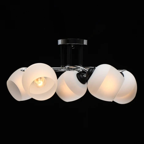 Потолочная люстра MW-Light Грация 677013805