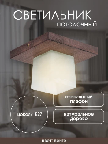 Потолочный светильник прямоугольный Мелодия Света SS1N 000036808