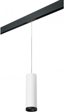 Трековый светильник однофазный 220V Lightstar Rullo PRORP64963487 (круглые)