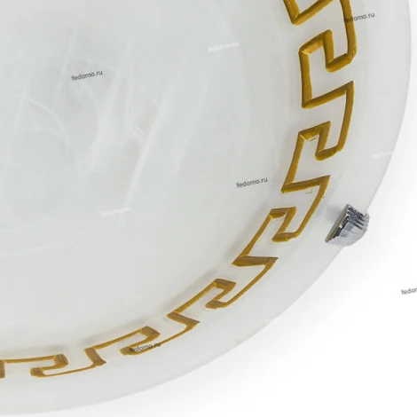Настенно-потолочный светильник Toplight Gien TL9171Y-02BN