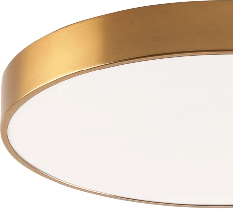 Потолочный светильник круглый светодиодный Zortes Tortty ZRS.02566.96 (220V, круглые, IP21)