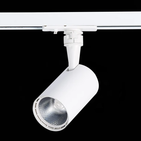 Трековый светильник ST Luce Cami ST351.546.10.36 (LED, 220V, круглые, IP22)