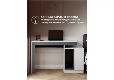 Компьютерный стол Модена белый / графит 631664