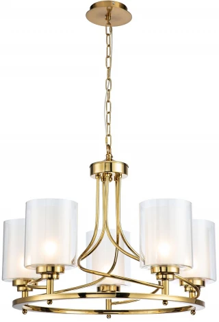 Подвесная люстра Favourite Plexus 2963-5P