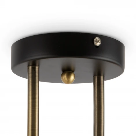 Потолочная люстра на штанге Freya Glow FR5129PL-06B