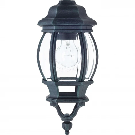 Уличный светильник подвесной Favourite Paris 1806-1P (220V, на цепи, IP44)