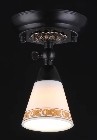 Спот Maytoni Spot 1 ECO001-01-R