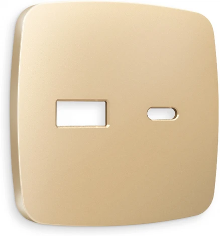 Лицевая панель Ambrella Volt OMEGA (Шампань) для розетки 2USB тип A+C QUANT OP6110