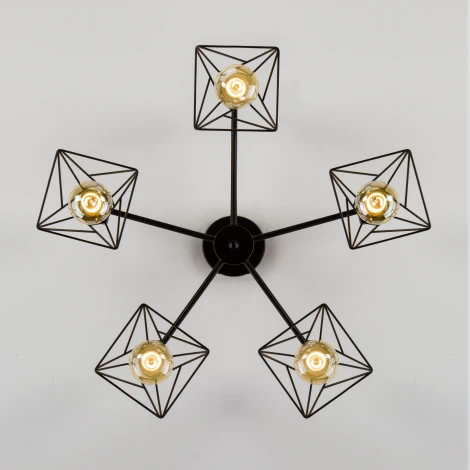 Потолочная люстра Eurosvet Trappola 70107/5 черный (220V)