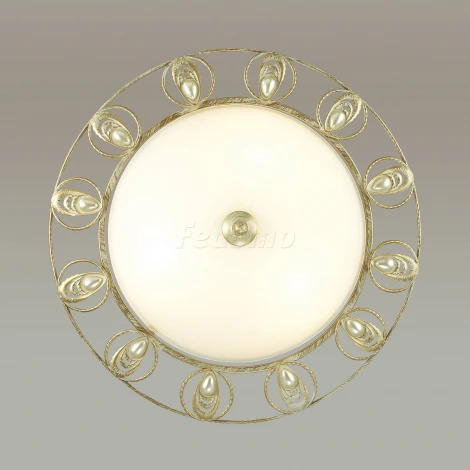 Настенно-потолочный светильник Odeon Light Kanti 3483/3C