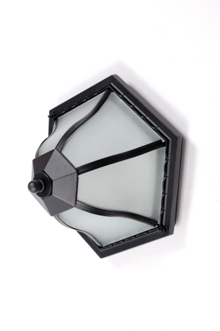 Потолочный светильник уличный Oasis Light 89425 Bl (220V, IP44)