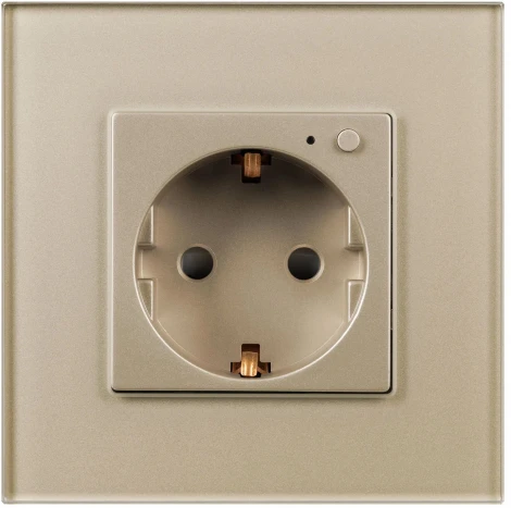 Розетка электрическая с Zigbee управлением SCT-OMALI-EUZB1-PL-GD (240V, 16A, Zigbee) (Arlight) 050218