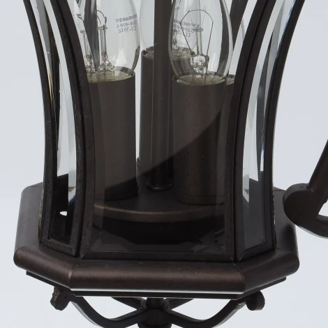 Настенный фонарь уличный Chiaro Шато 800020303