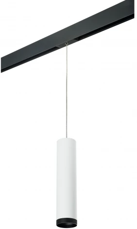 Трековый светильник однофазный 220V Lightstar Rullo PRORP4963437 (круглые)