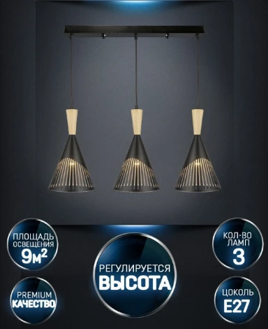 Подвесной светильник Wedo Light Beinir WD3606/3P-BK