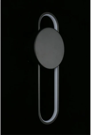 Настенный светильник LED Aployt Francesco APL.347.01.18 (220V)