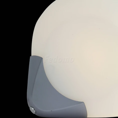 Настенно-потолочный светильник ST Luce Orbe SL809.501.01