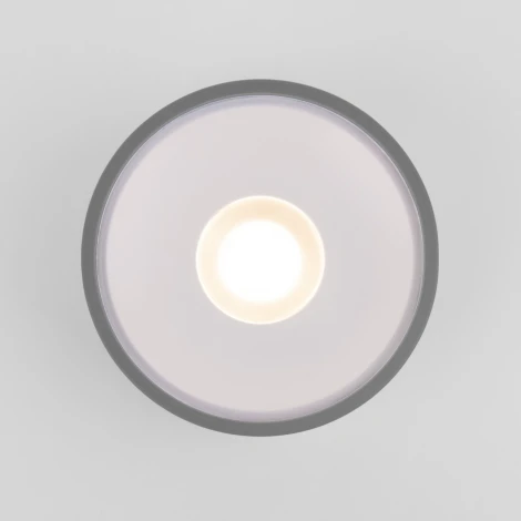Потолочный светильник уличный Elektrostandard Light LED 35141/H серый (220V, круглые, IP65)