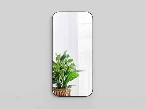 Зеркало Hola (МДФ,Зеркало/Черный) ОГОГО Обстановочка! арт.838250