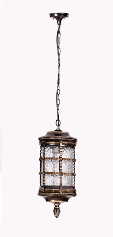 Уличный светильник подвесной Oasis Light BARSELONA 81205 cover Gb