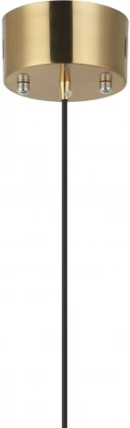 Подвесной светильник Zortes Argo ZRS.57785.03 (LED, 220V, на проводе)