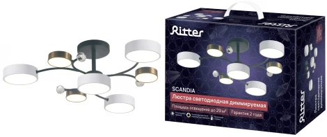 Потолочная люстра светодиодная на штанге с ДУ Ritter Scandia 51599 3