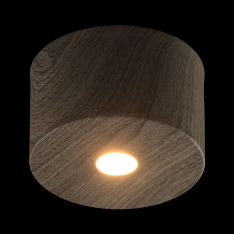 Потолочный светильник круглый DeMarkt Иланг 712010201 (LED, 220V)