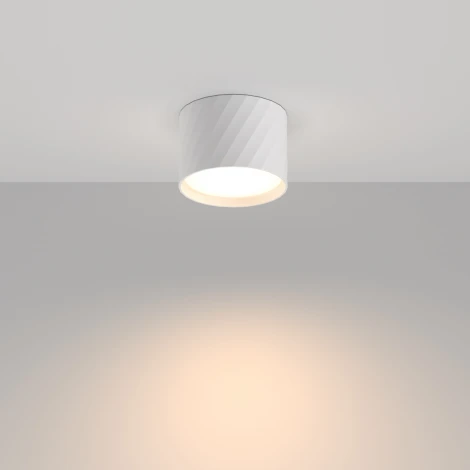 Потолочный светильник Nuvolt Nidu LDL-001W