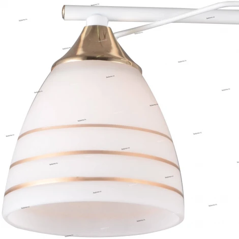 Потолочная люстра J-Light Vera 1074/3C