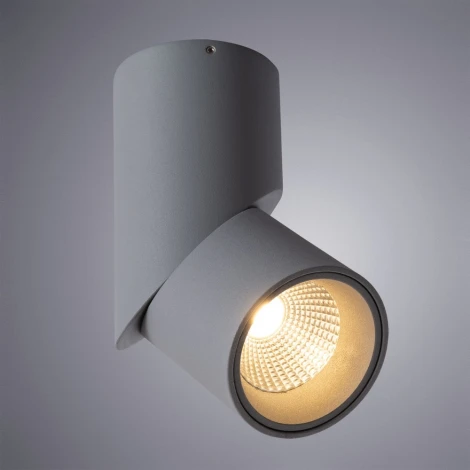 Накладной точечный светильник Arte Lamp Meisu A7717PL-1GY