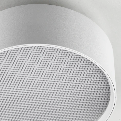 Накладной потолочный светильник Lightstar Acuto 215936 (LED, 220V, круглые)