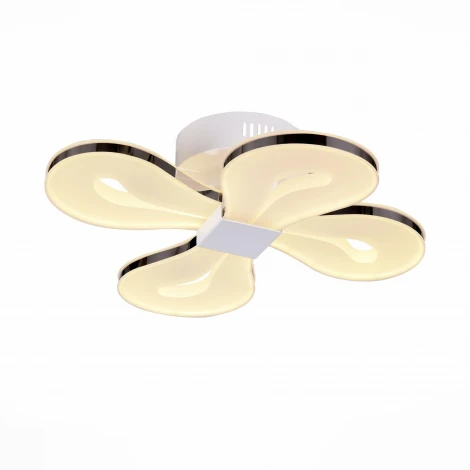Потолочная люстра ST Luce Birin SL862.502.04