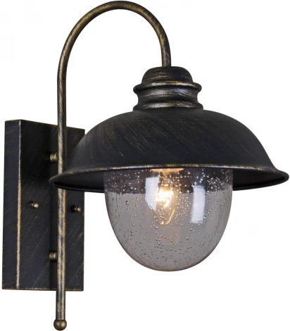 Настенный фонарь уличный Reluce 08300-9.2-001SJ BKG (220V, фонарь, IP54)