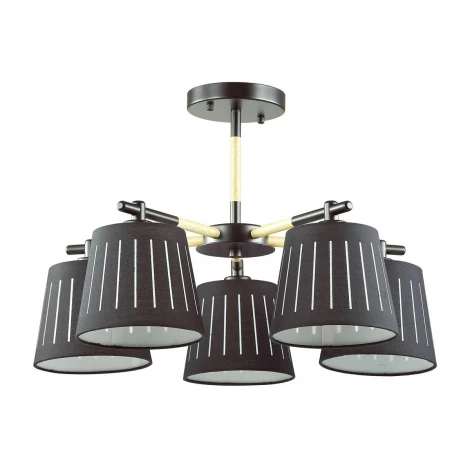 Потолочная люстра Odeon Light Nicola 4110/5