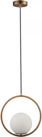 Подвесной светильник Loft IT Glob LOFT2600-A (220V, на проводе, шар, кольцо)